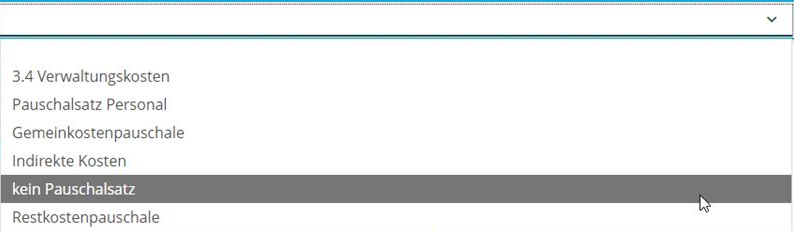 Screenshot der geöffneten Dropdown-Liste mit Pauschalsätzen; Mauszeiger zeigt auf kein Pauschalsatz