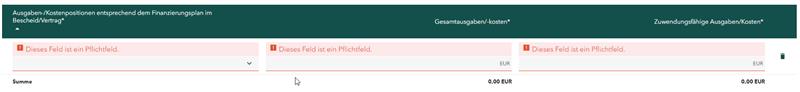 Screenshot der Tabelle mit Ausgaben- und Kostenpositionen